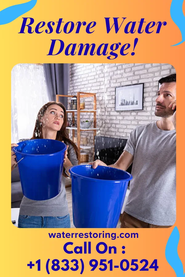 water restoration Reliable Water Removal LLC Thornton
