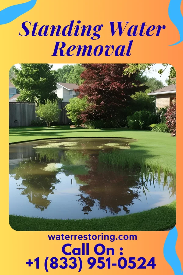 Standing Water Removal in Thornton, IL